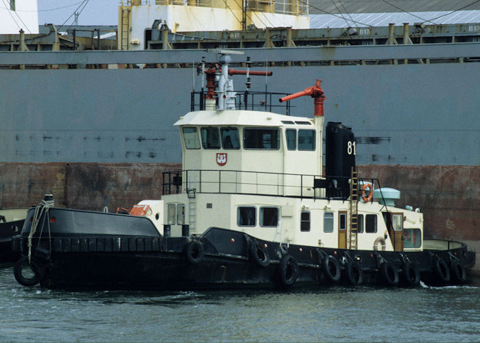 Photograph of the vessel  81 pictured in Antwerp on 19th April 1997