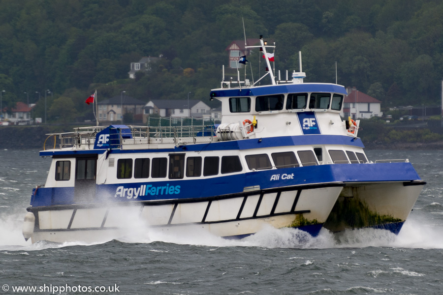 Photograph of the vessel  Ali Cat pictured approaching Dunoon on 6th June 2015