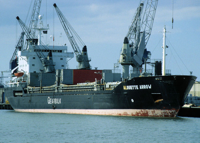 Photograph of the vessel  Alouette Arrow pictured in Rotterdam on 20th April 1997