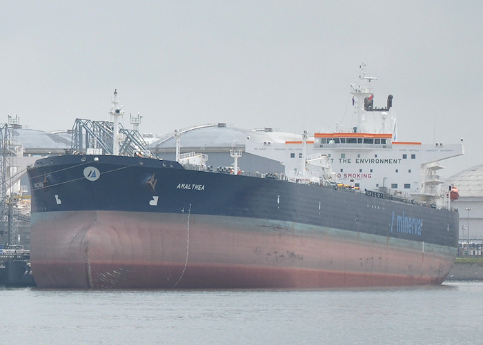 Photograph of the vessel  Amalthea pictured in 7e Petroleumhaven, Europoort on 26th June 2011