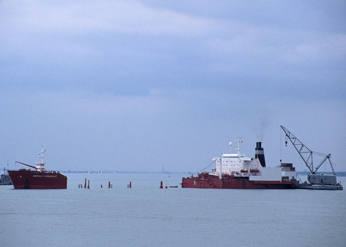 Photograph of the vessel USNS American Cormorant pictured at anchor in the Solent on 3rd June 1989