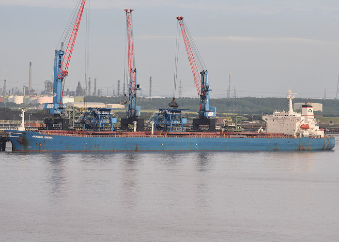 Photograph of the vessel  Anangel Omonia pictured at Humber International Terminal, Immingham on 27th June 2012