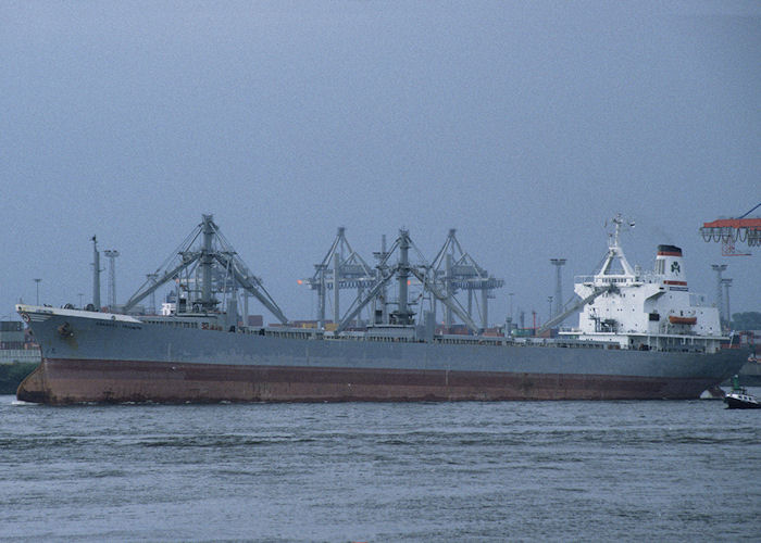 Photograph of the vessel  Anangel Triumph pictured arriving in Hamburg on 24th August 1995