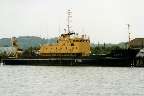 Photograph of the vessel RMAS Auricula pictured in Southampton on 24th June 1995