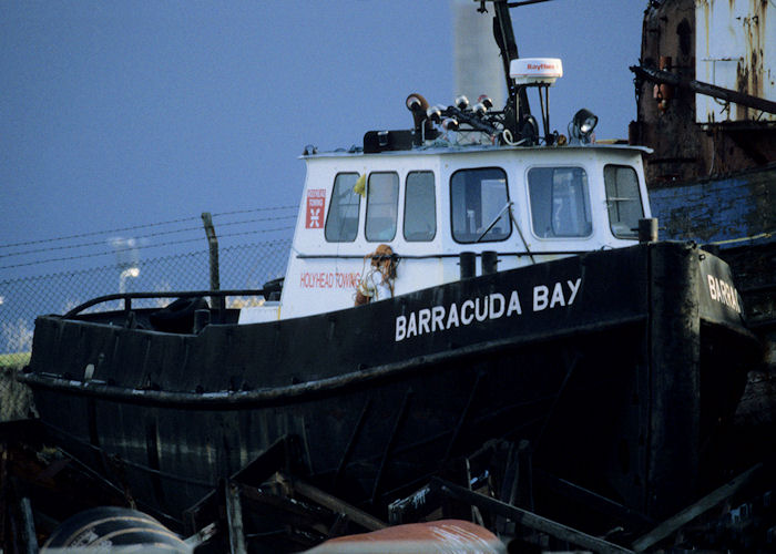 Photograph of the vessel  Barracuda Bay pictured at Holyhead on 17th November 1996
