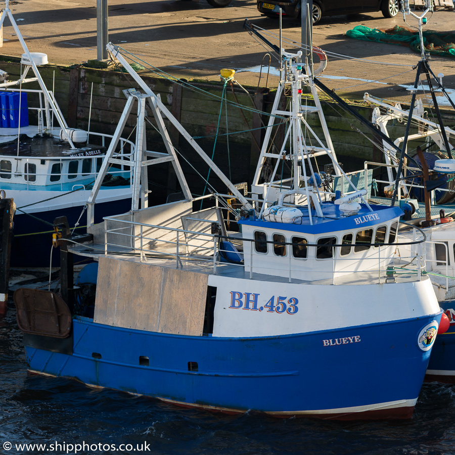 Photograph of the vessel fv Blueye pictured at the Fish Quay, North Shields on 31st December 2015