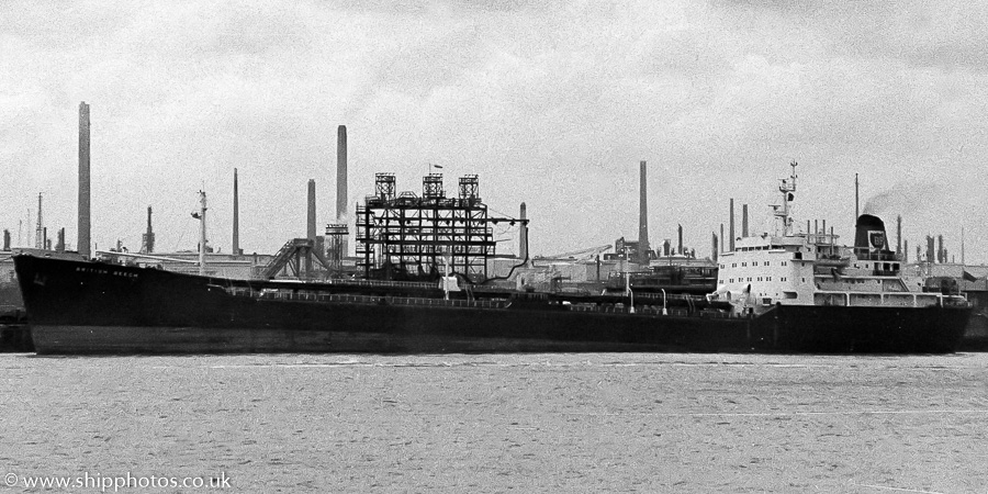 Photograph of the vessel  British Beech pictured at Fawley on 30th April 1989