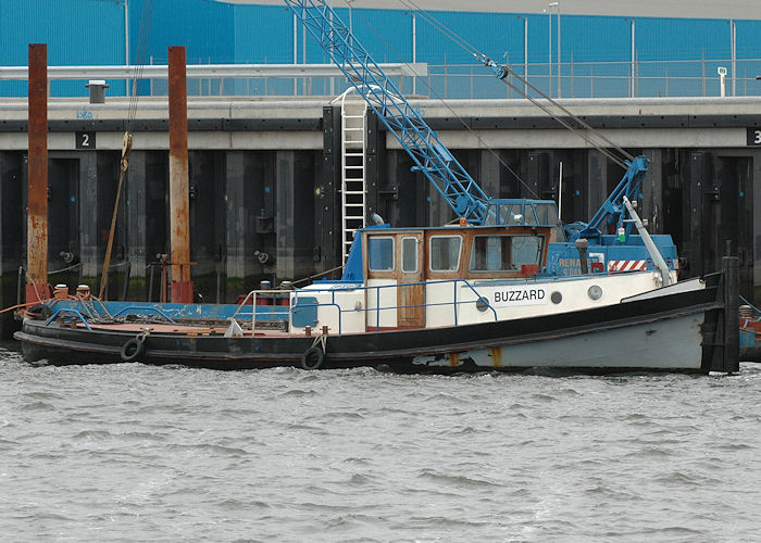 Photograph of the vessel  Buzzard pictured in Yangtzehaven, Europoort on 20th June 2010