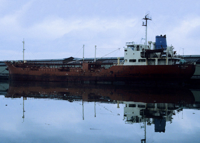 Photograph of the vessel  Cape Sun pictured in the West Float, Birkenhead on 16th November 1996
