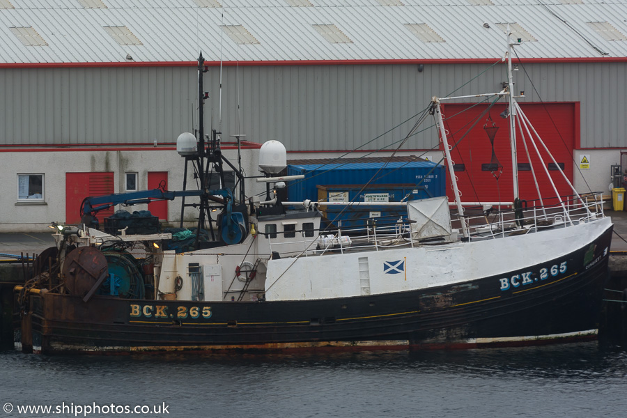 Photograph of the vessel fv Conquest pictured at Lerwick on 21st May 2015