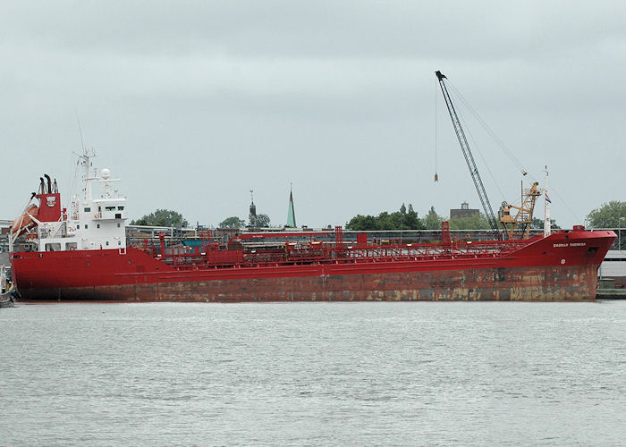 Photograph of the vessel  Dagmar Theresa pictured in Koningin Wilhelminahaven, Rotterdam on 20th June 2010