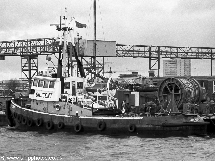 Photograph of the vessel  Diligent pictured at Southampton on 21st January 1989