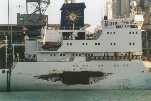 Photograph of the vessel  Dole America pictured in Southampton on 16th November 1999