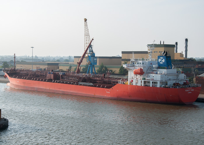 Photograph of the vessel  Forest Park pictured in King George Dock, Hull on 18th July 2014