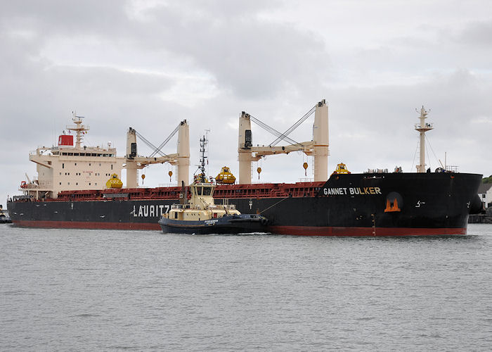 Photograph of the vessel  Gannet Bulker pictured passing North Shields on 5th June 2011