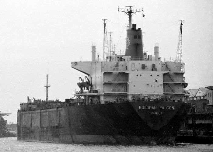 Photograph of the vessel  Goldean Falcon pictured at Southampton on 12th March 1989