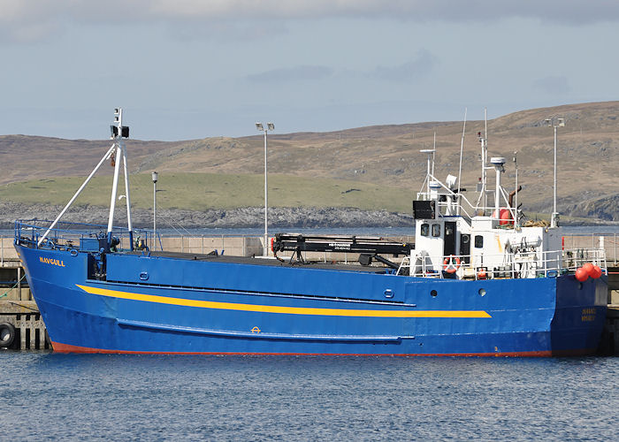 Photograph of the vessel  Havgull pictured at Symbister on 12th May 2013