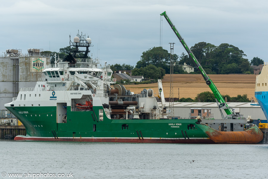 Photograph of the vessel  Havila Venus pictured at Montrose on 10th August 2023