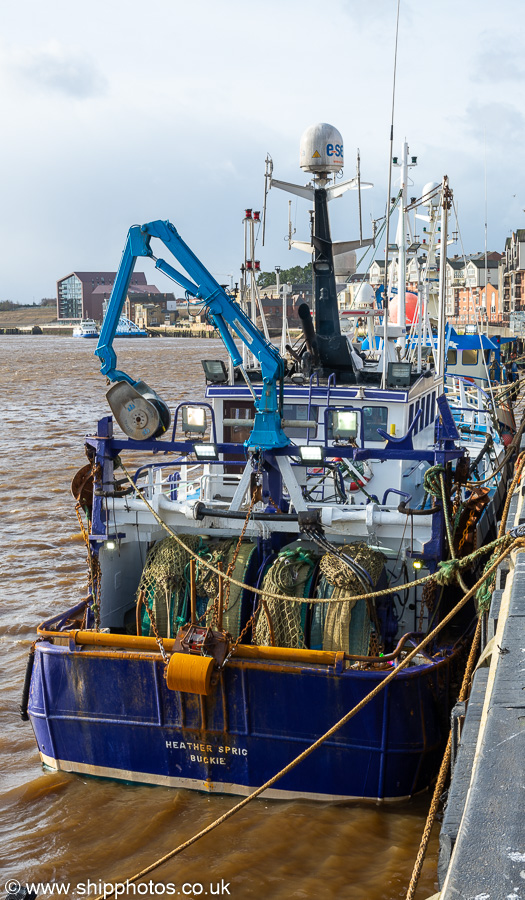 Photograph of the vessel fv Heather Sprig pictured at the Fish Quay, North Shields on 22nd February 2020