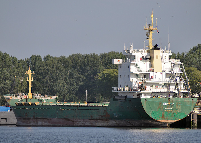 Photograph of the vessel  Hiltrup pictured in Waalhaven, Rotterdam on 26th June 2011