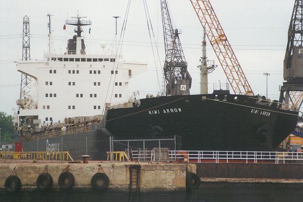 Photograph of the vessel  Kiwi Arrow pictured in drydock in Southampton on 24th June 1995