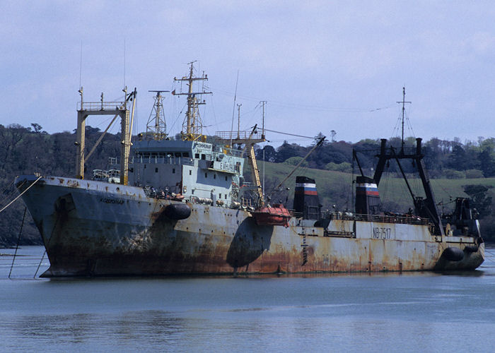 Photograph of the vessel fv Kommunar pictured under detention in the River Fal on 5th May 1996