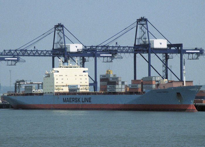Photograph of the vessel  Laust Mærsk pictured at Felixstowe on 10th June 1997
