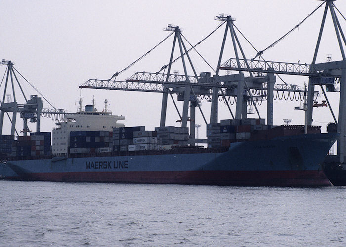 Photograph of the vessel  Leda Mærsk pictured at Hamburg on 23rd August 1995
