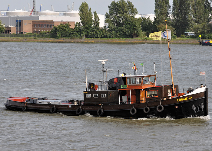 Photograph of the vessel  Limburgia pictured at Vlaardingen on 23rd June 2012