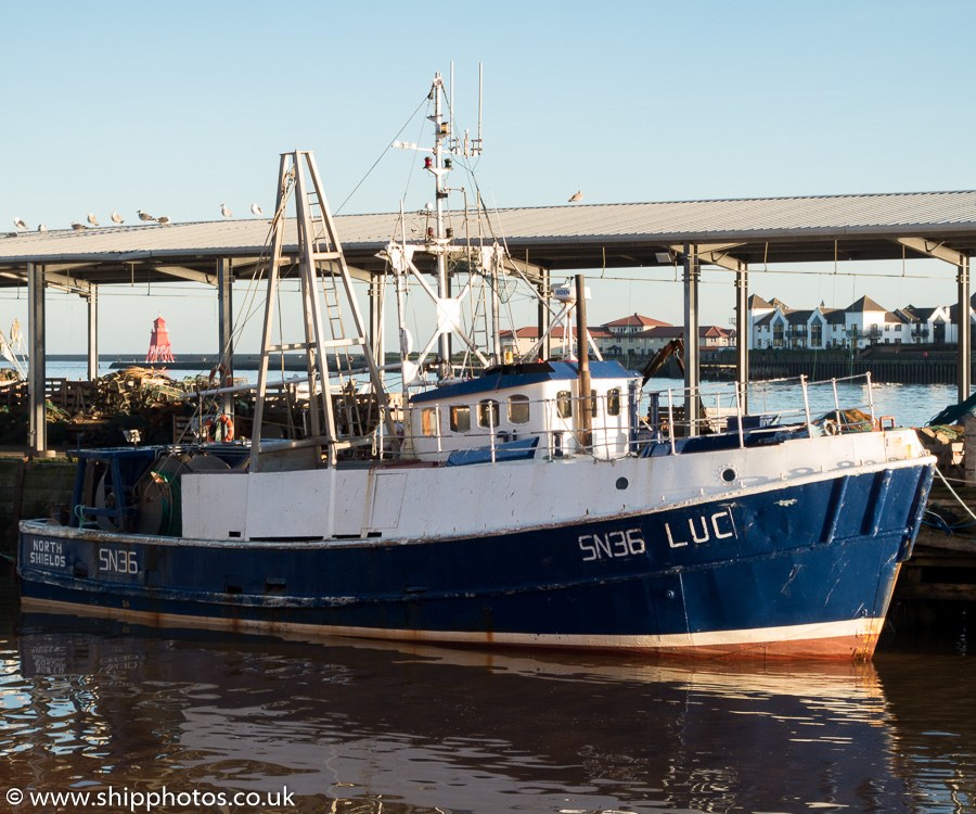 Photograph of the vessel fv Luc pictured at the Fish Quay, North Shields on 27th December 2015