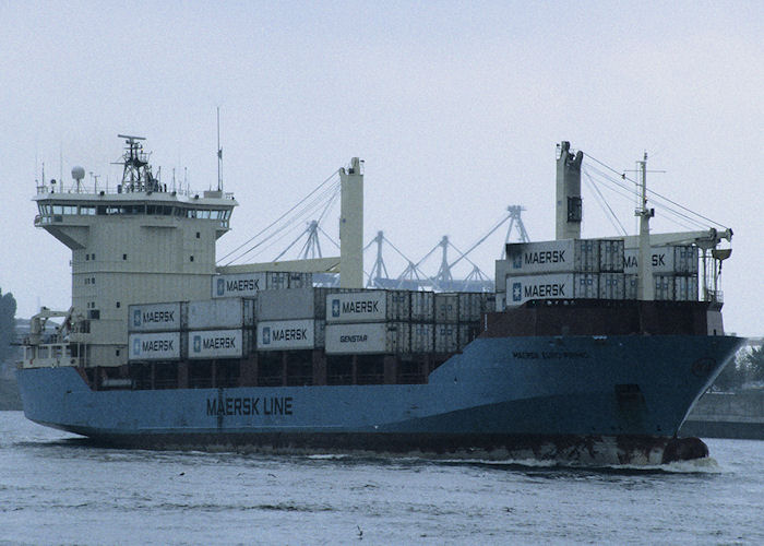 Photograph of the vessel  Maersk Euro Primo pictured in Hamburg on 24th August 1995
