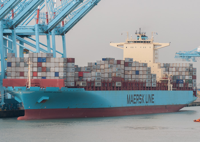 Photograph of the vessel  Maersk Salalah pictured at Zeebrugge on 19th July 2014