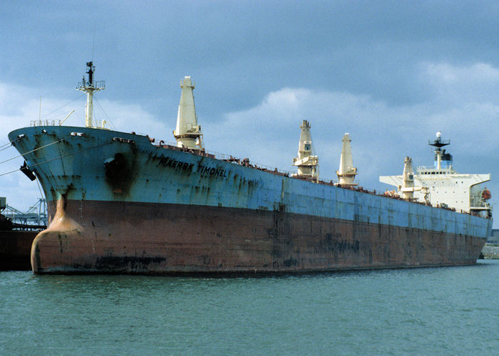 Photograph of the vessel  Maersk Timonel pictured in Amazonehaven, Europoort on 20th April 1997