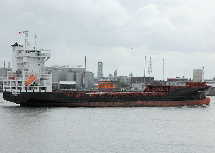 Photograph of the vessel  Magellan Star pictured passing Vlaardingen on 19th June 2010