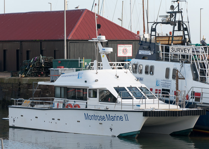 Photograph of the vessel  Montrose Marine II pictured at Arbroath on 10th October 2014