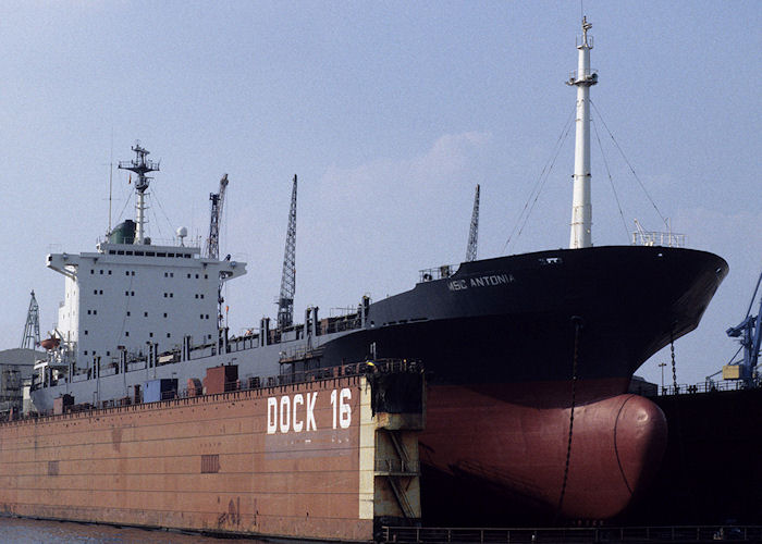 Photograph of the vessel  MSC Antonia pictured in dry dock in Hamburg on 21st August 1995