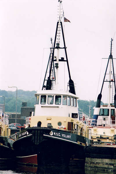 Photograph of the vessel  MSC Volant pictured at Eastham on 7th July 2001