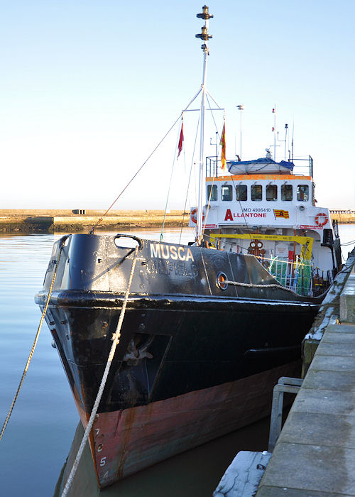 Photograph of the vessel  Musca pictured at Blyth on 26th December 2013