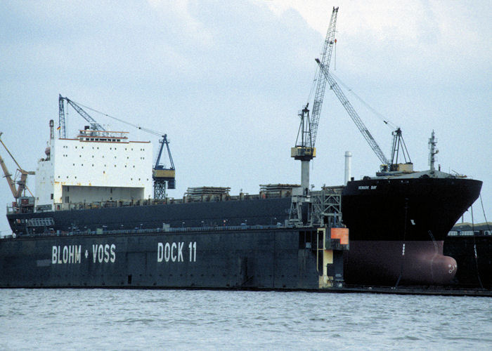 Photograph of the vessel  Newark Bay pictured at Hamburg on 27th May 1998