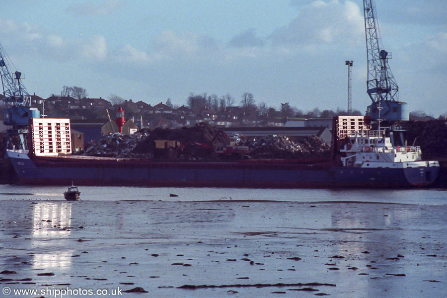 Photograph of the vessel  Niels pictured at Southampton on 21st January 1989