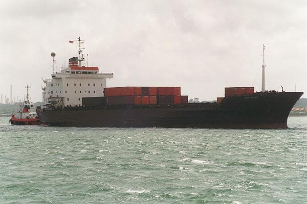 Photograph of the vessel  NYK Porto pictured arriving in Southampton on 29th May 1995