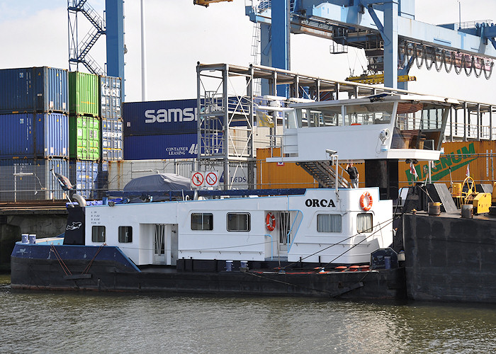 Photograph of the vessel  Orca pictured in Prins Willem Alexanderhaven, Rotterdam on 26th June 2011