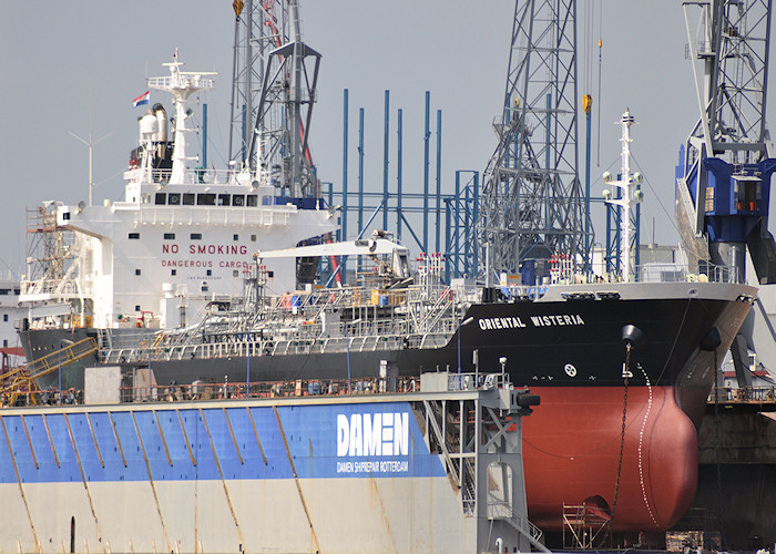 Photograph of the vessel  Oriental Wisteria pictured in dry dock in Wiltonhaven, Rotterdam on 26th June 2011
