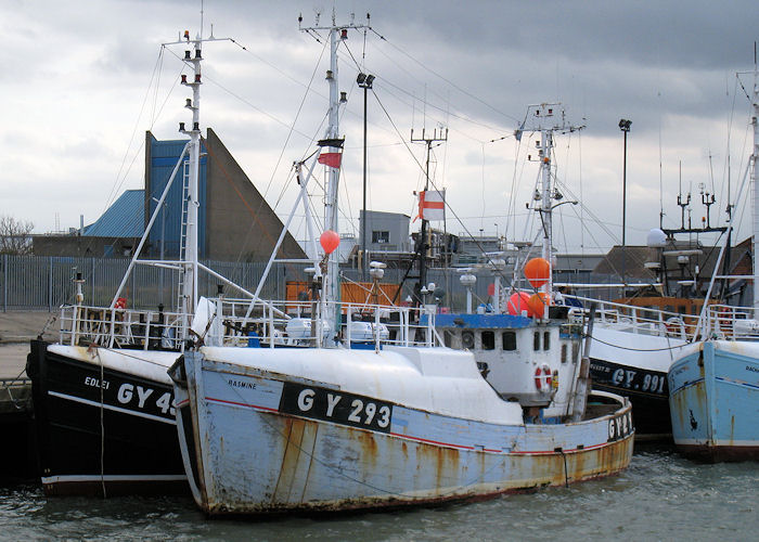 Photograph of the vessel fv Rasmine pictured at Grimsby on 5th September 2009