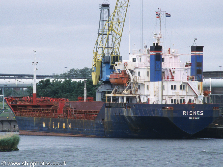 Photograph of the vessel  Risnes pictured in 2e Rijksbinnehaven, Velsen-Noord on 16th June 2002