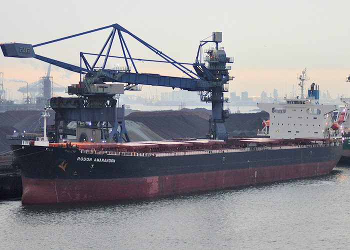 Photograph of the vessel  Rodon Amarandon pictured at EECV, Calandkanaal, Europoort on 28th June 2011