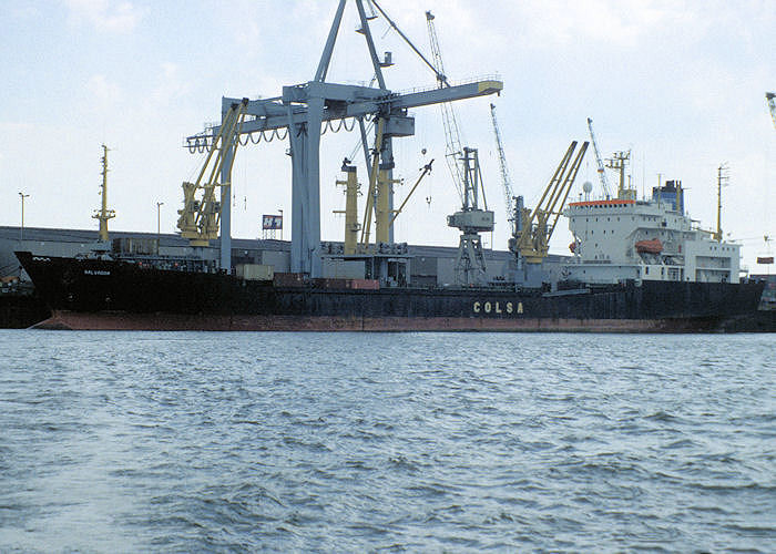 Photograph of the vessel  Salvador pictured at Hamburg on 9th June 1997