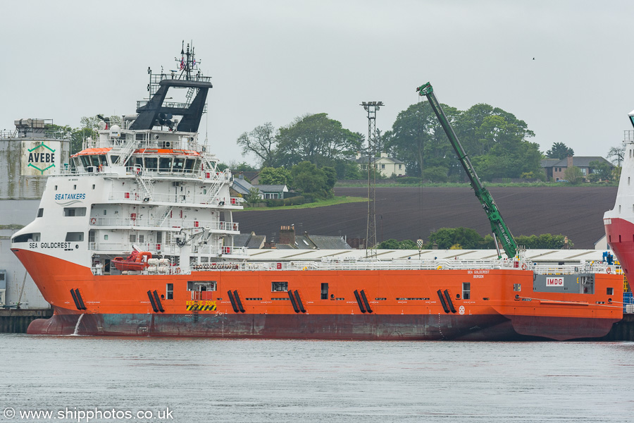 Photograph of the vessel  Sea Goldcrest pictured at Montrose on 31st May 2019