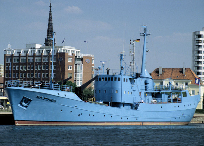 Photograph of the vessel rv Sea Shepherd pictured at Bremerhaven on 6th June 1997