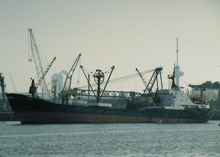 Photograph of the vessel  Seda pictured in Waalhaven, Rotterdam on 14th April 1996